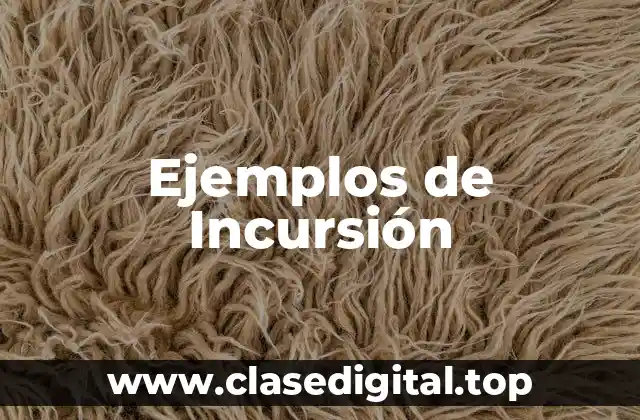 Ejemplos de Incursión