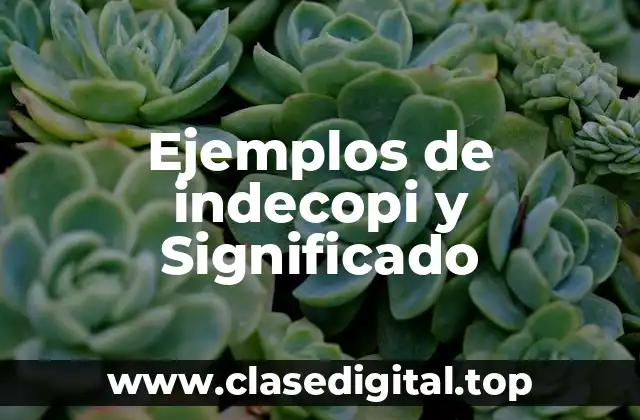 Ejemplos de indecopi y Significado