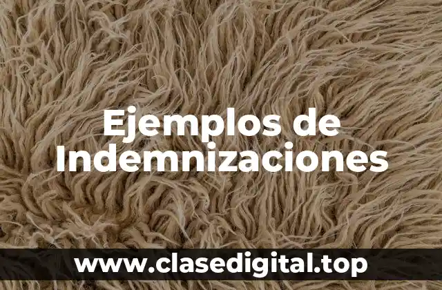 Ejemplos de Indemnizaciones
