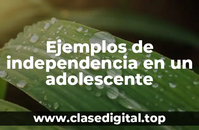 Ejemplos de independencia en un adolescente