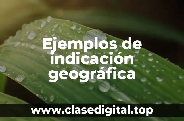 Ejemplos de indicación geográfica