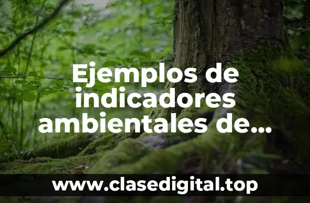 Ejemplos de indicadores ambientales de energía eléctrica en escuelas y Significado