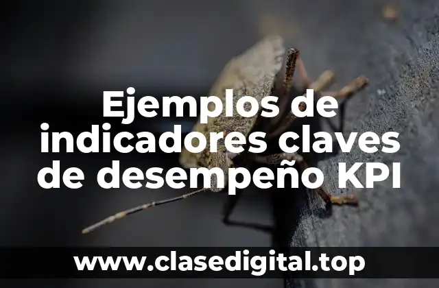Ejemplos de indicadores claves de desempeño KPI
