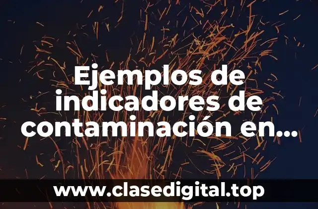Ejemplos de indicadores de contaminación en una empresa de transporte