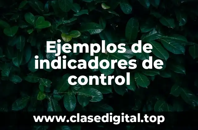 Ejemplos de indicadores de control