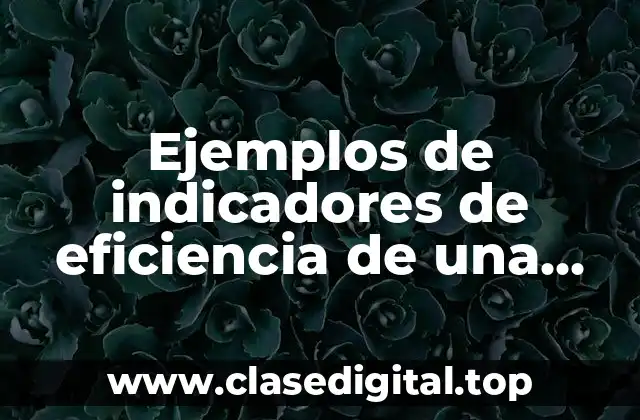 Ejemplos de indicadores de eficiencia de una empresa