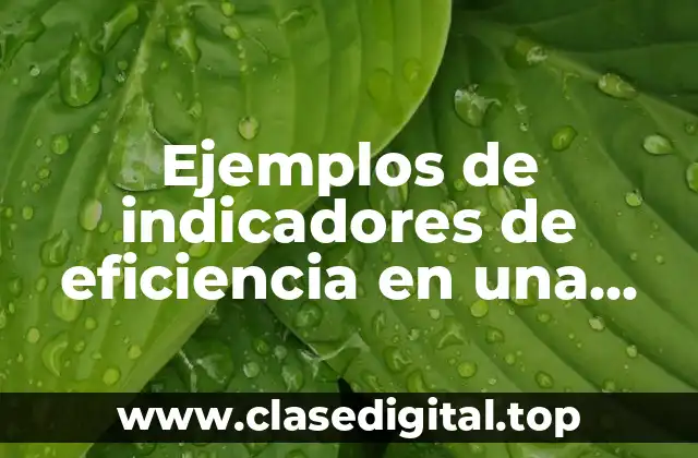 Ejemplos de indicadores de eficiencia en una empresa de ropa