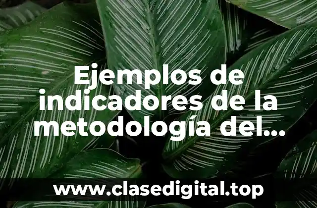 Ejemplos de indicadores de la metodología del marco lógico