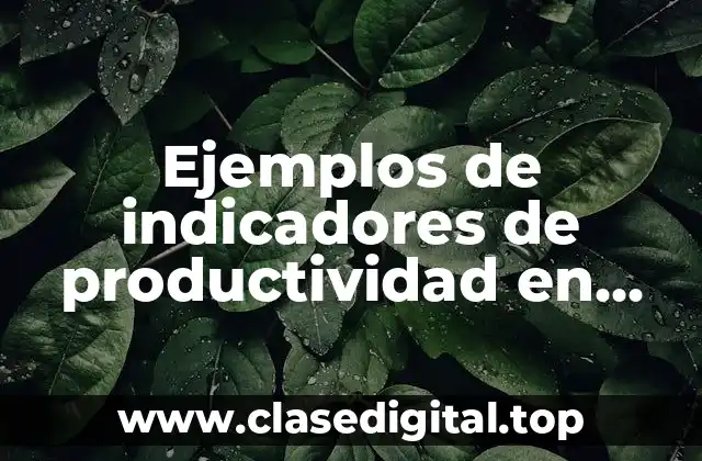 Ejemplos de indicadores de productividad en una empresa de servicios