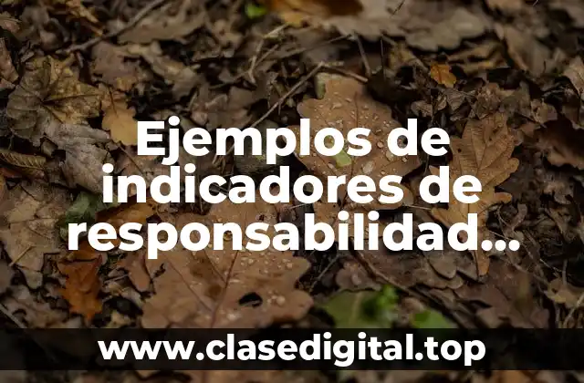 Ejemplos de indicadores de responsabilidad social empresarial