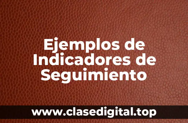 Ejemplos de Indicadores de Seguimiento