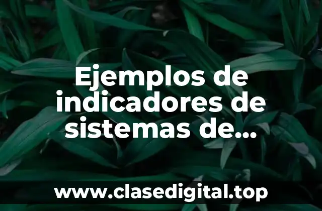 Ejemplos de indicadores de sistemas de manufactura