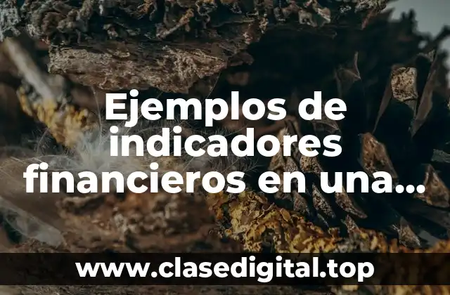 Ejemplos de indicadores financieros en una empresa