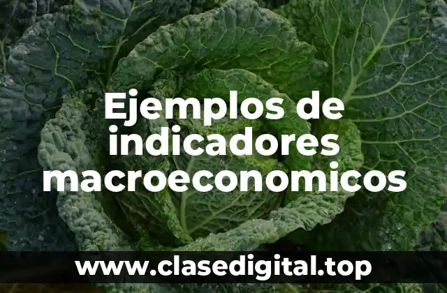 Ejemplos de indicadores macroeconomicos