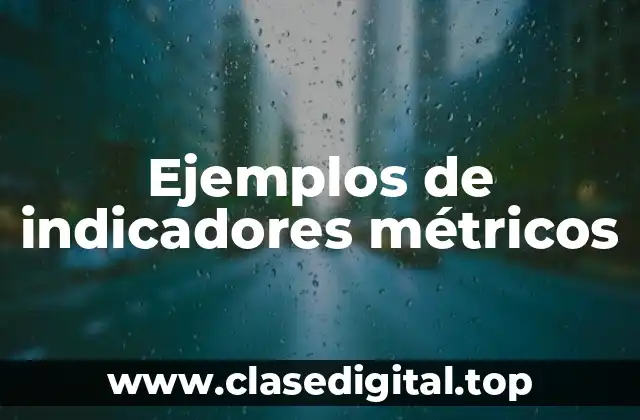 Ejemplos de indicadores métricos