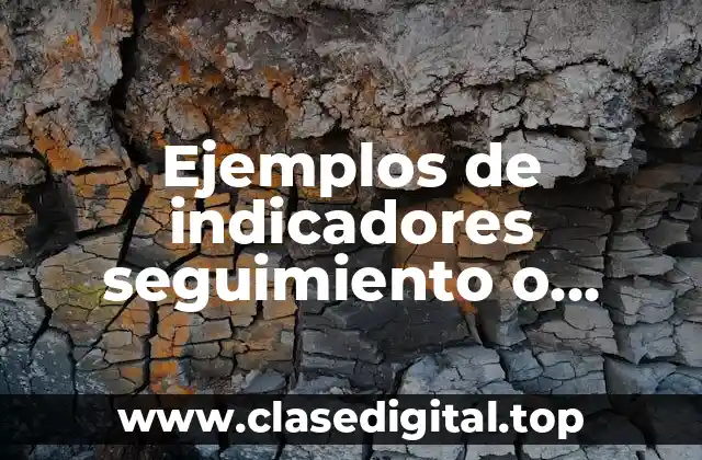 Ejemplos de indicadores seguimiento o ajustes en desarrollo organizacional