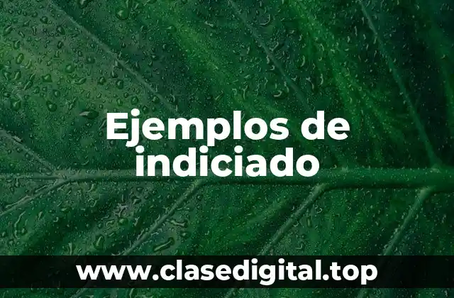 Ejemplos de indiciado