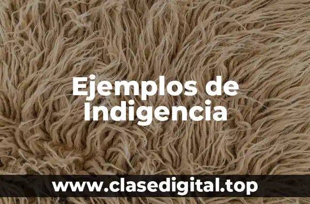 Ejemplos de Indigencia