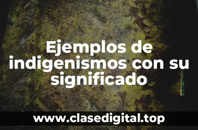 Ejemplos de indigenismos