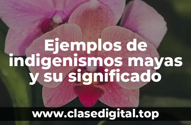 Ejemplos de indigenismos mayas y su significado