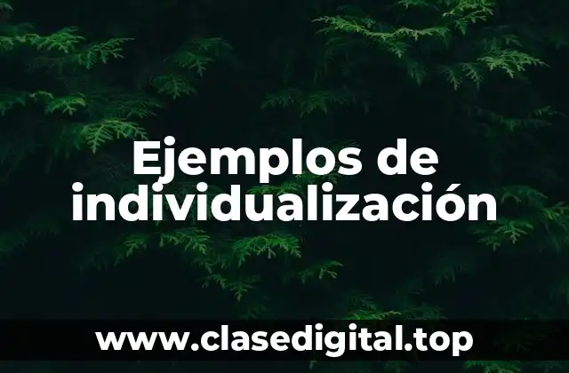 Ejemplos de individualización