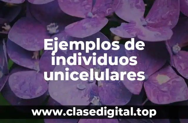 Ejemplos de individuos unicelulares