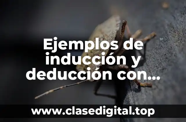 Ejemplos de inducción y deducción con conclusion