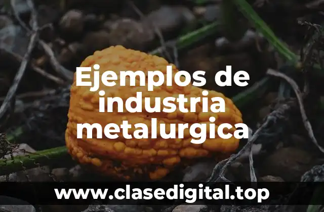 Ejemplos de industria metalurgica