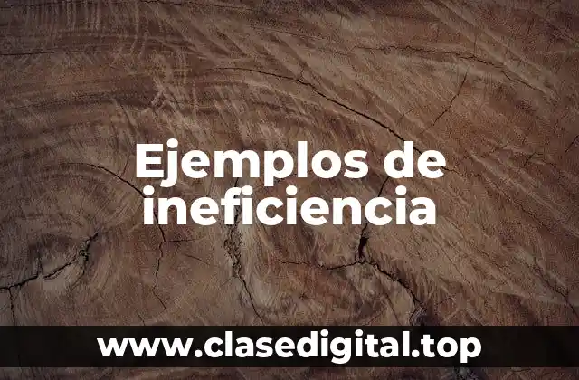 Ejemplos de ineficiencia
