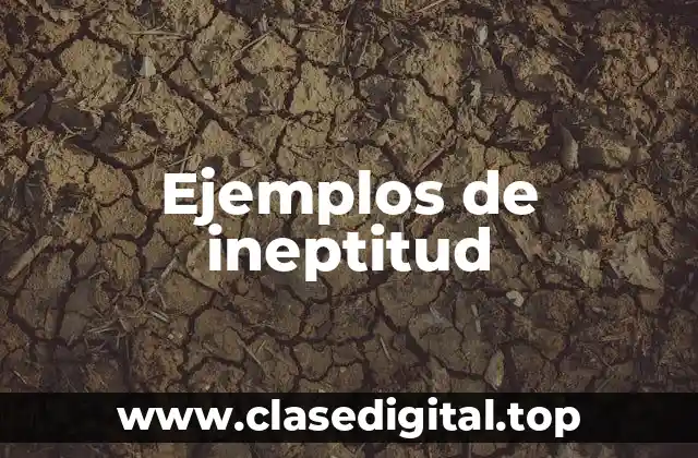 Ejemplos de ineptitud