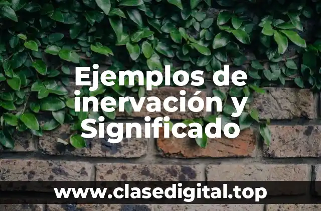 Ejemplos de inervación y Significado