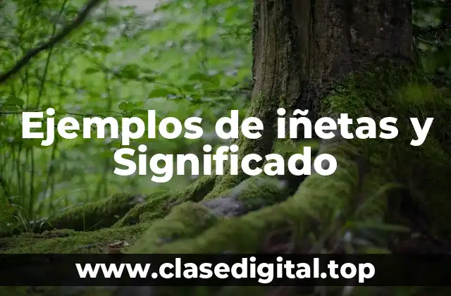 Ejemplos de iñetas y Significado
