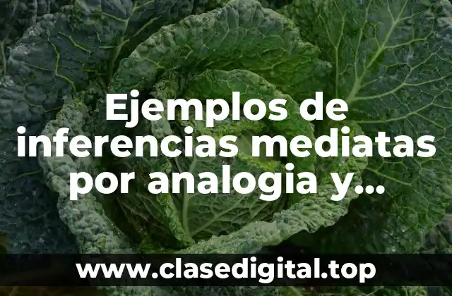 Ejemplos de inferencias mediatas por analogia y Significado