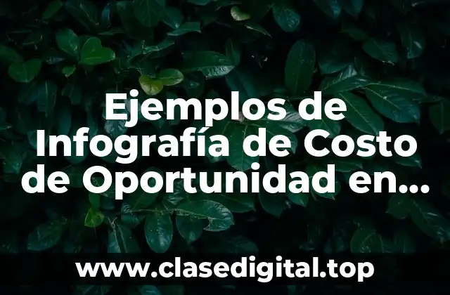 Ejemplos de Infografía de Costo de Oportunidad en Salud