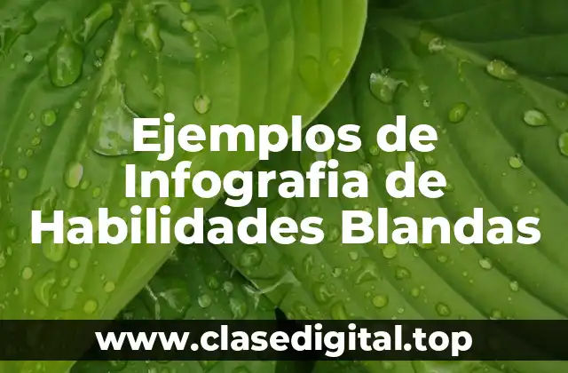 Ejemplos de Infografia de Habilidades Blandas