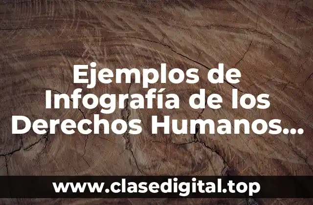 Ejemplos de Infografía de los Derechos Humanos y Significado