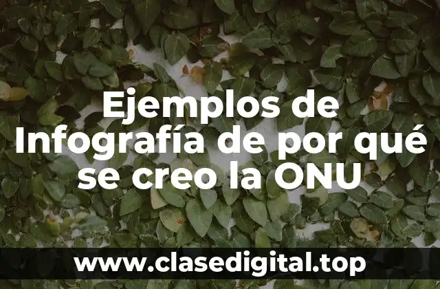 Ejemplos de Infografía de por qué se creo la ONU