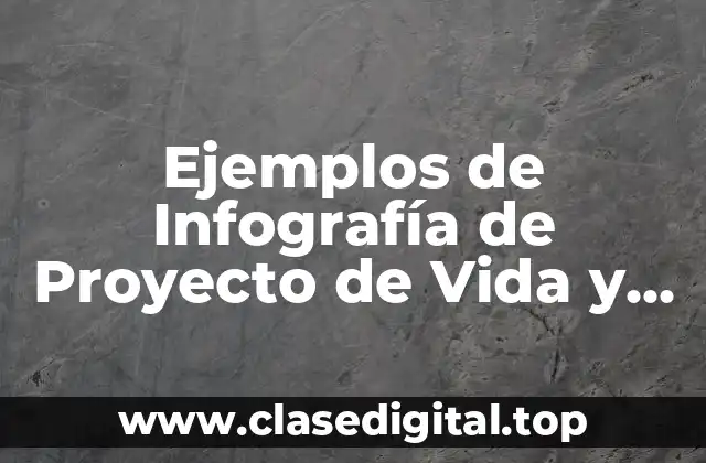 Ejemplos de Infografía de Proyecto de Vida y Significado