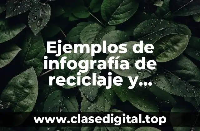 Ejemplos de infografía de reciclaje y Significado