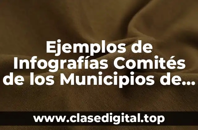 Ejemplos de Infografías Comités de los Municipios de Colima