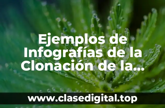Ejemplos de Infografías de la Clonación de la Oveja Dolly