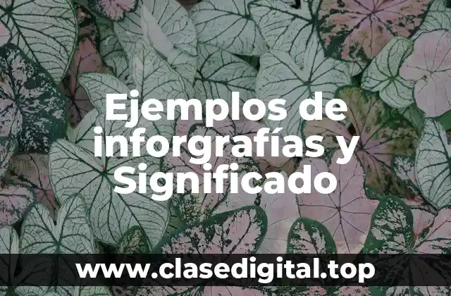Ejemplos de inforgrafías y Significado