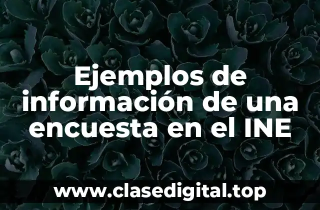 Ejemplos de información de una encuesta en el INE