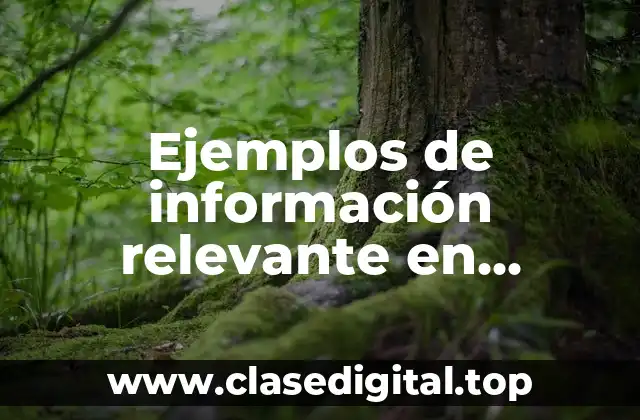 Ejemplos de información relevante en contabilidad