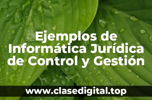 Ejemplos de Informática Jurídica de Control y Gestión