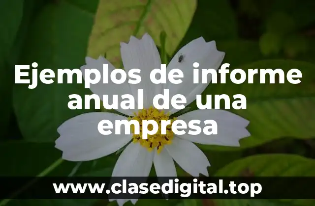 Ejemplos de informe anual de una empresa