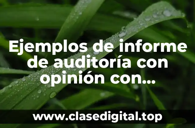 Ejemplos de informe de auditoría con opinión con salvedades