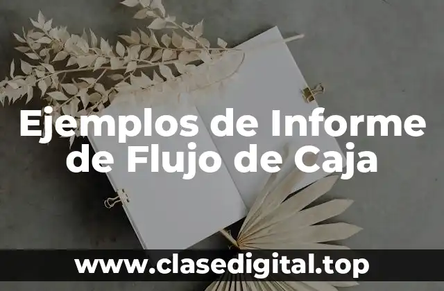 Ejemplos de Informe de Flujo de Caja