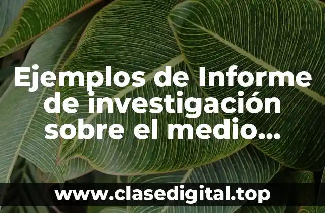 Ejemplos de Informe de investigación sobre el medio ambiente y Significado