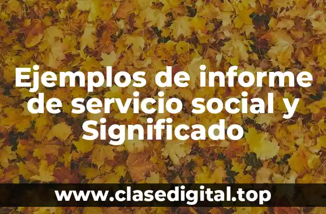 Ejemplos de informe de servicio social y Significado